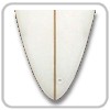 Pintail